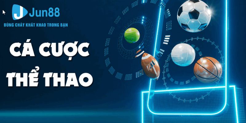 Nhà cái cung cấp hàng ngàn trận đấu, kèo cược mỗi ngày